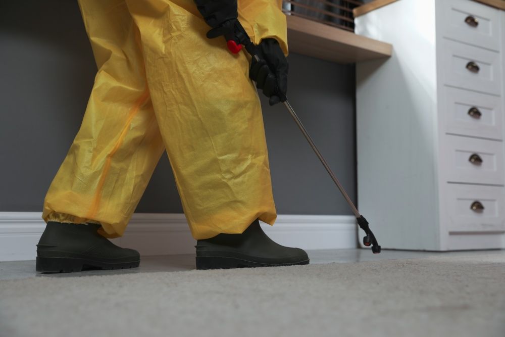 A Person in a Yellow Suit is Spraying a Room With a Sprayer — Superior Termite & Pest Control in Caloundra, QLD