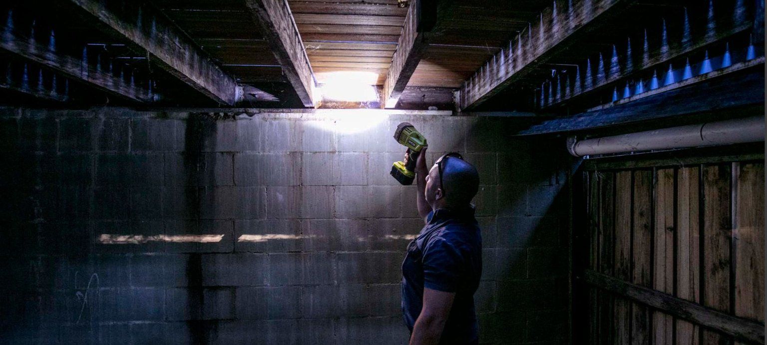 A Man is Standing in a Dark Room Holding a Flashlight — Superior Termite & Pest Control in Bundaberg, QLD