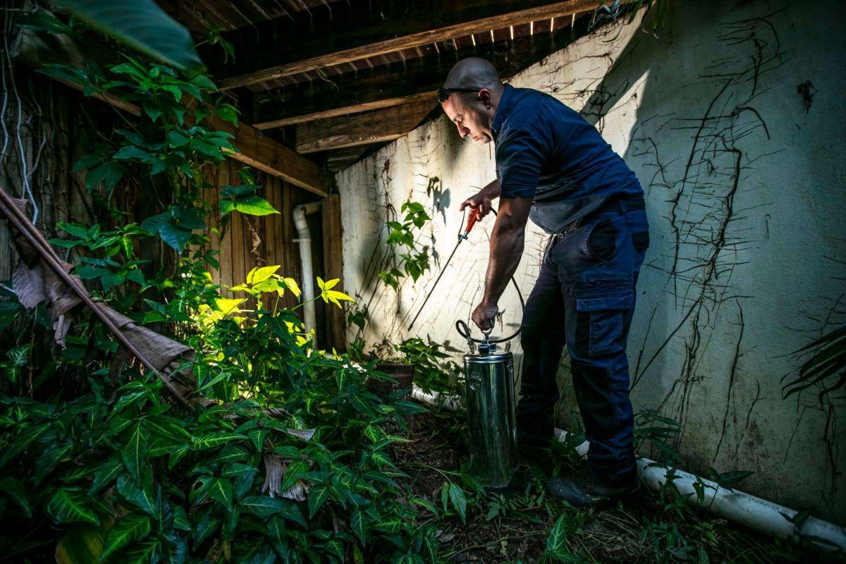 A Man is Spraying a Wall With a Spray Bottle — Superior Termite & Pest Control in Beerwah, QLD