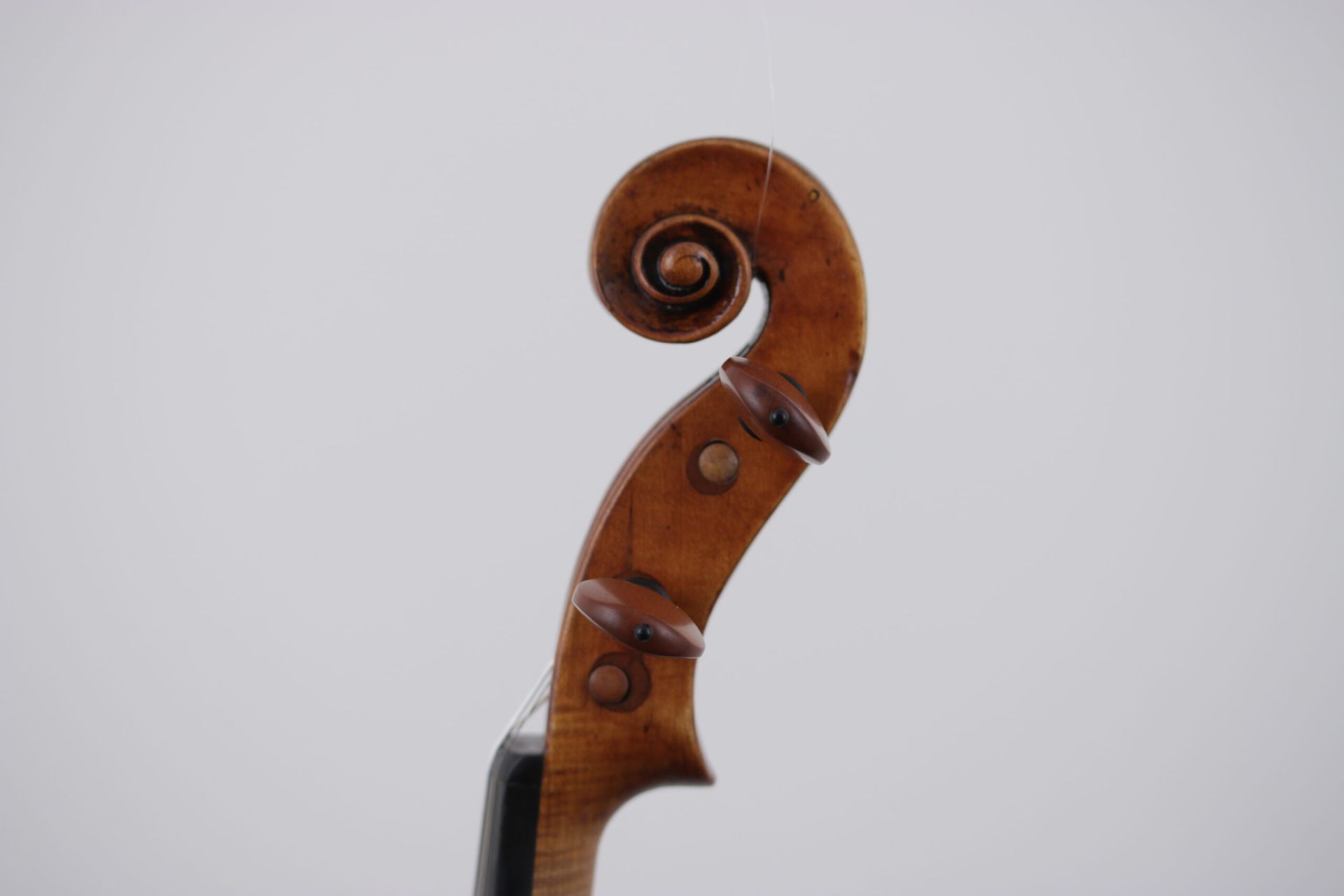 A close up of a violin scroll on a white background