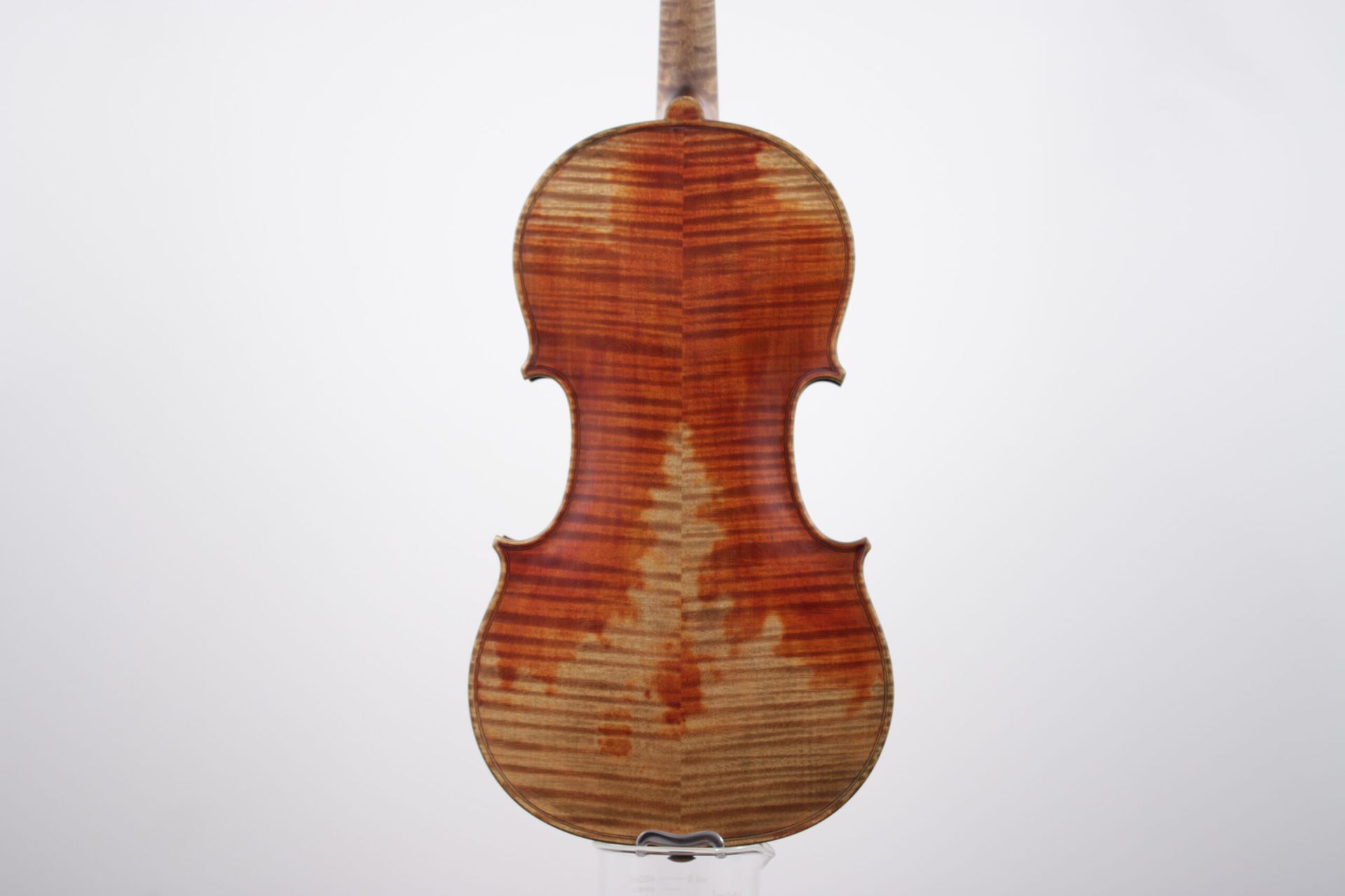The back of a violin is shown on a white background.