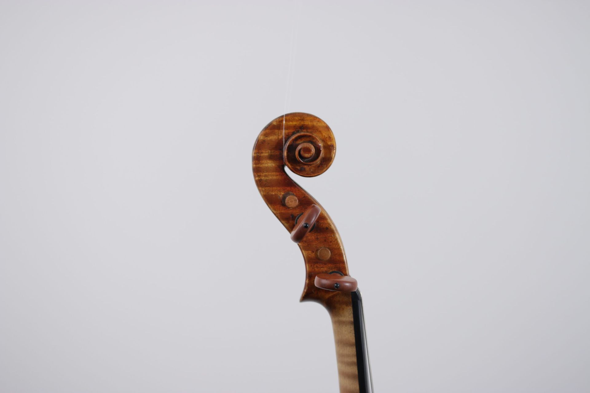A close up of a violin head on a white background.