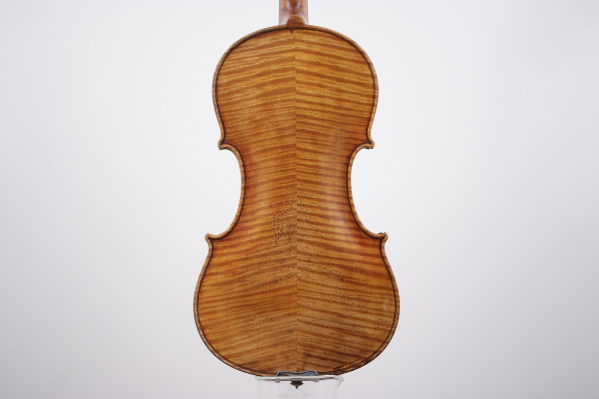 The back of a violin is shown on a white background.