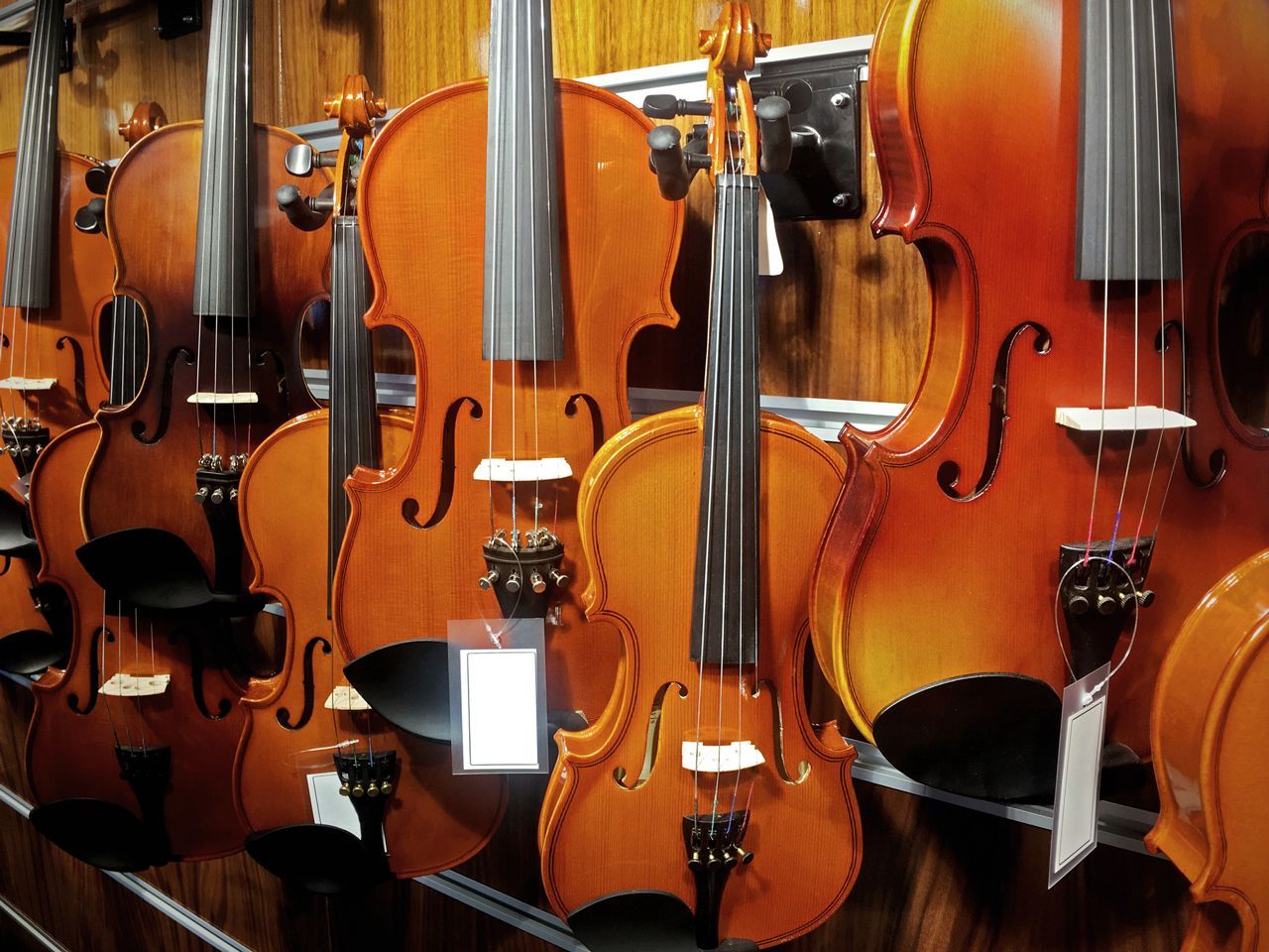 A row of violins are on display in a store
