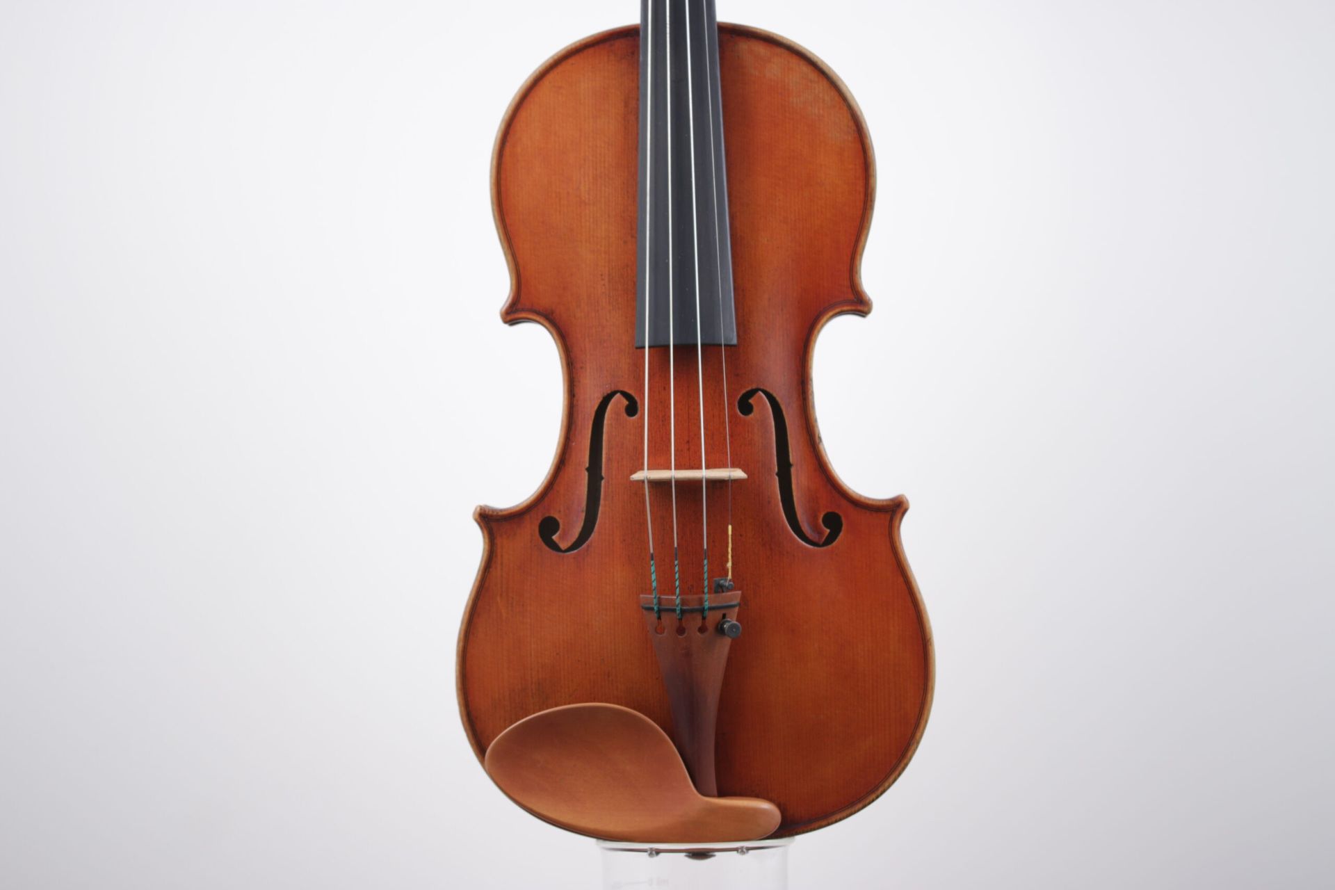 A close up of a violin on a white background