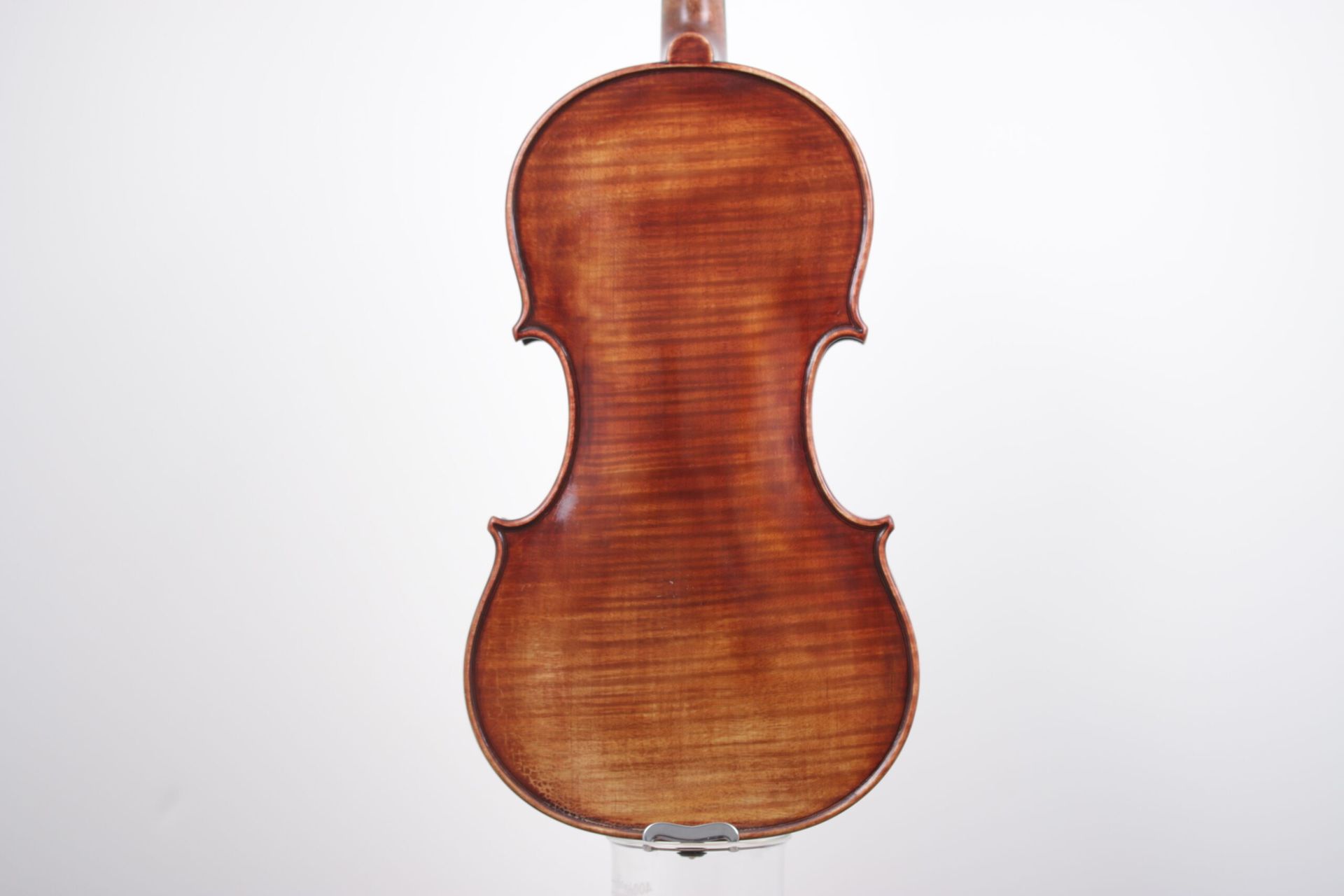 The back of a violin is shown on a white background