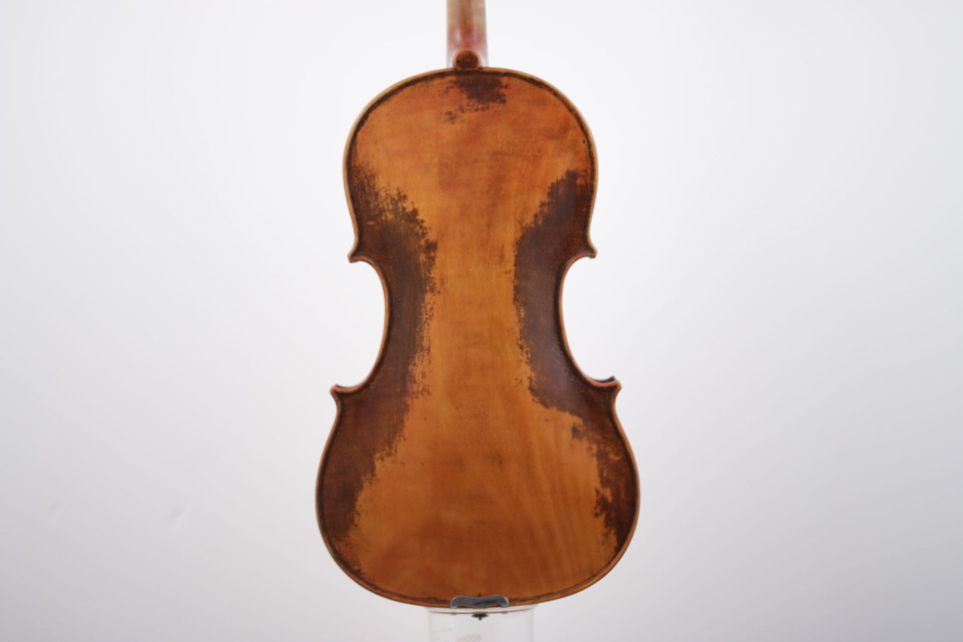 The back of a violin is shown on a white background