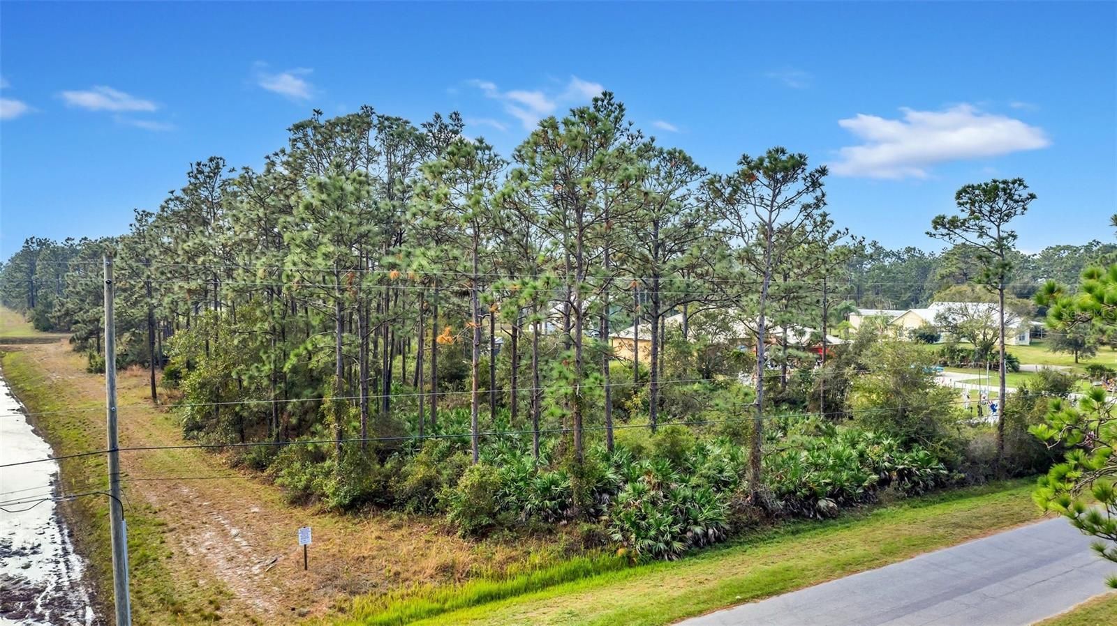 An aerial view of a lot with trees and a road.