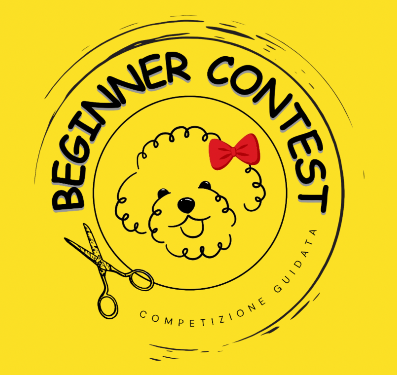 Cane asciugato con un asciugacapelli professionale in un salone di toelettatura.