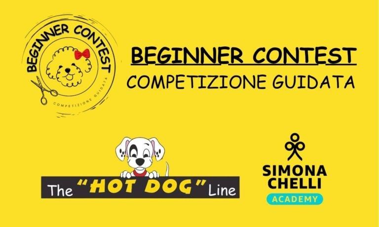 Yellow promotional graphic for a beginner's grooming competition: 
