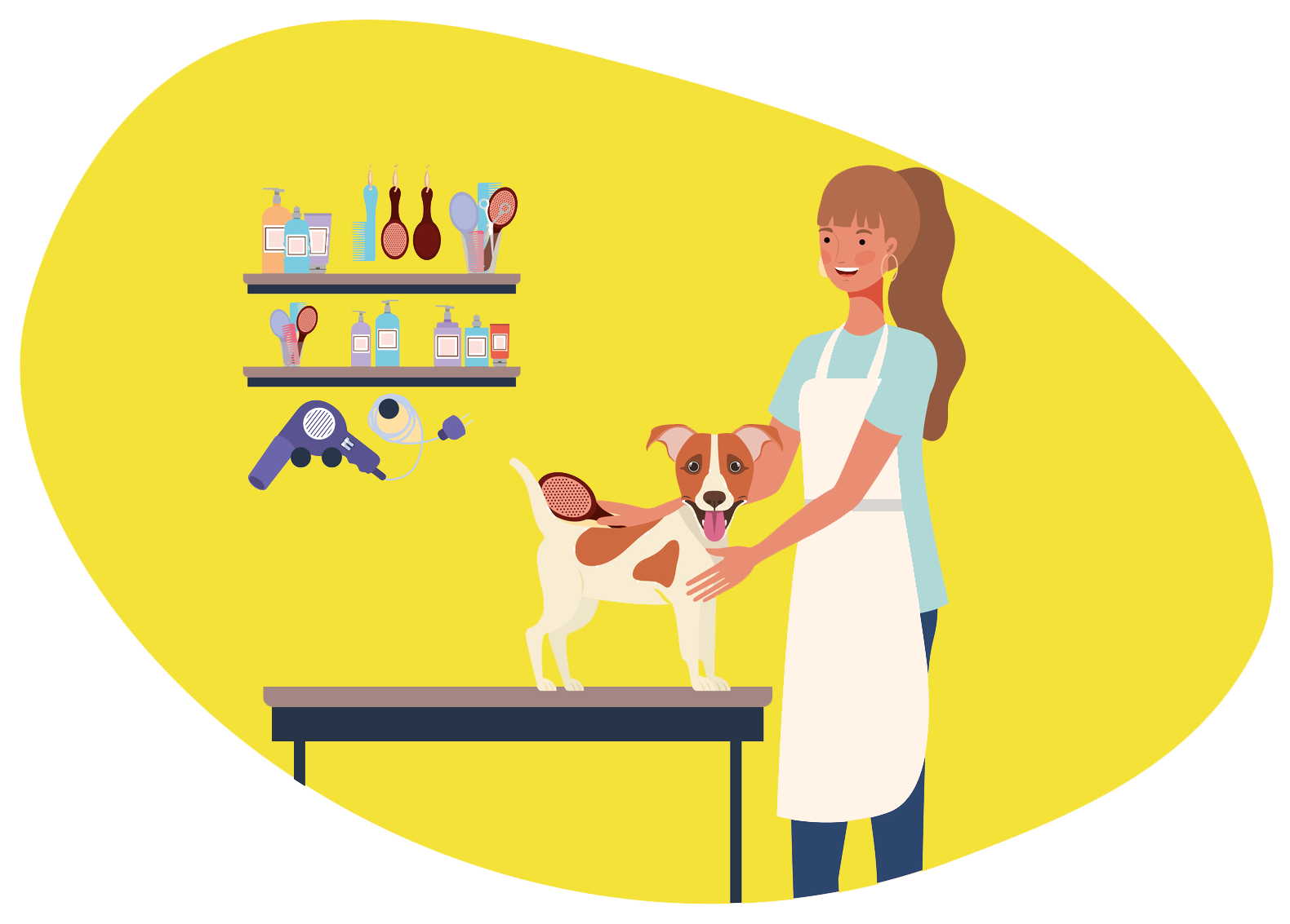 Donna che toeletta un cane su un tavolo, con gli strumenti per la toelettatura su uno scaffale, sfondo giallo.