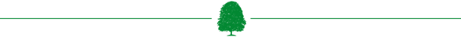 green divider line with tree in middle