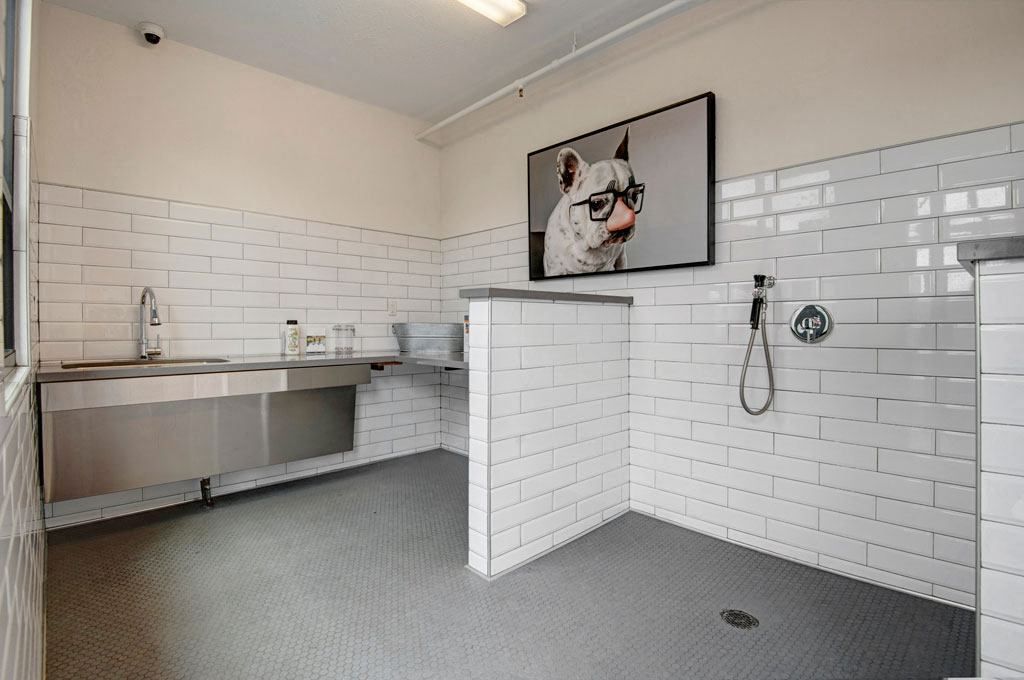 Modern pet washing station here at Park on Central Apartments with white tiled walls, stainless steel sink, and shower hose. A humorous framed photo of a dog wearing glasses adds charm.