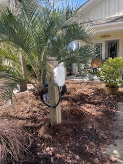 Palm tree with irrigation tubing in a landscaped yard beside a house.