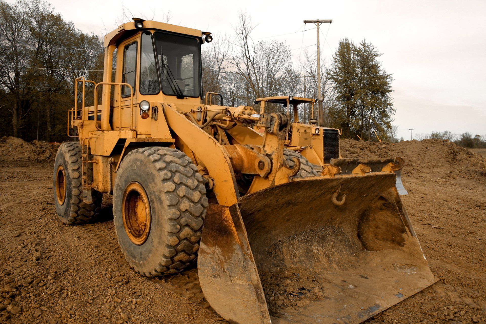 Land Clearing in Medford, MA