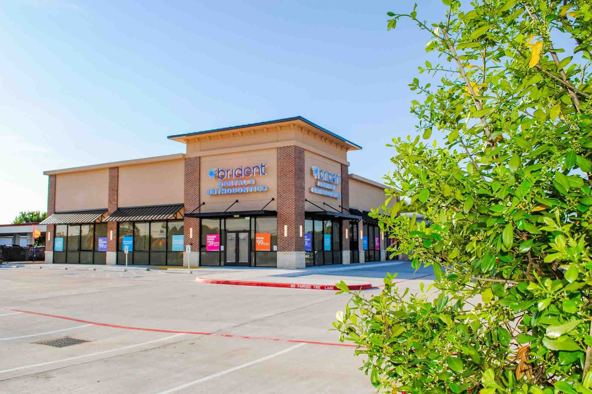 A building with a lot of windows and a tree in front of it.