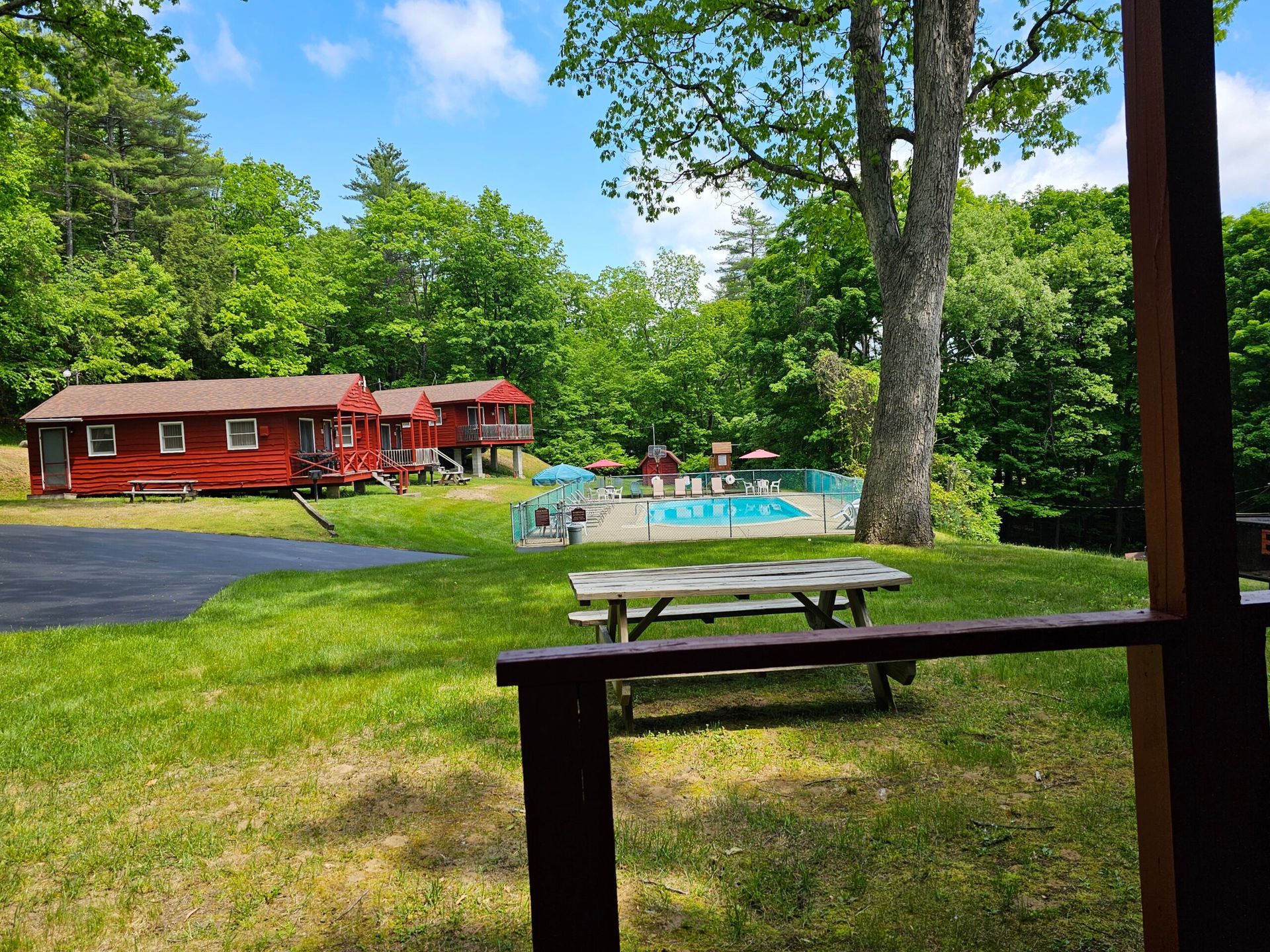 Red lakeside cabin with deck and people by a pool in a sunny green yard