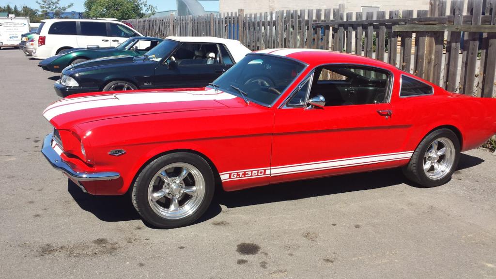 A red mustang is parked next to a white mustang in a parking lot.