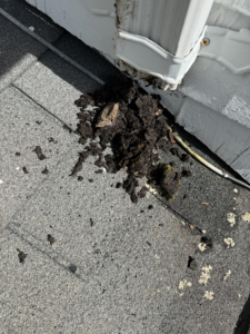 A pile of dirt is on the ground next to a building.