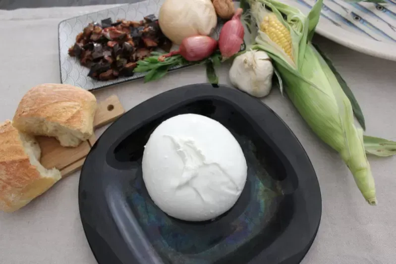 MOZZARELLA DI BUFALA