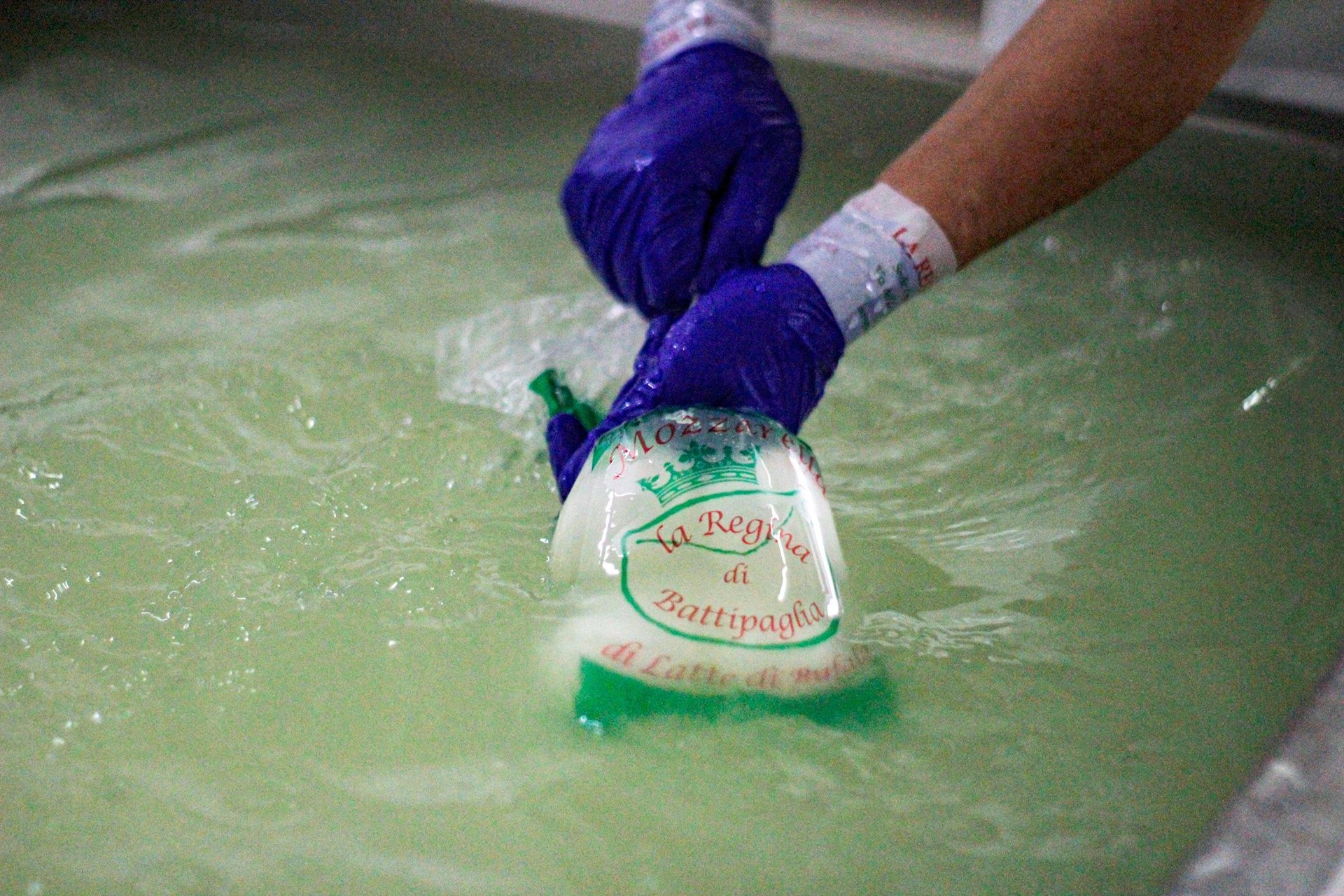 la regina di battipaglia