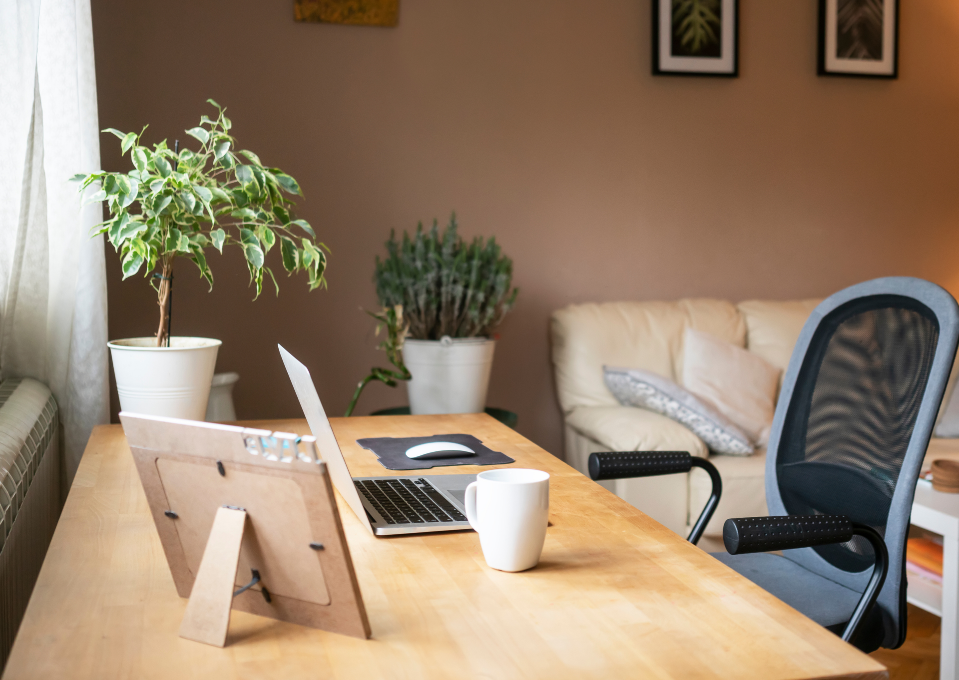 Desk with laptop, mug, and photo frame. Office setting with plants and a beige couch in the background.