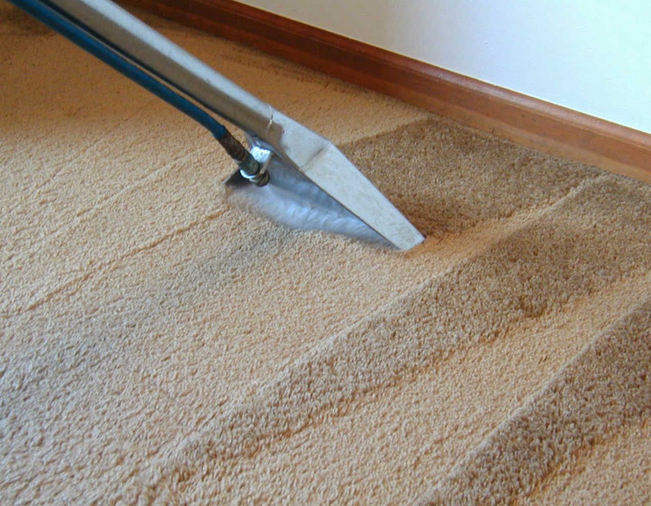 A vacuum cleaner is being used to clean a carpet