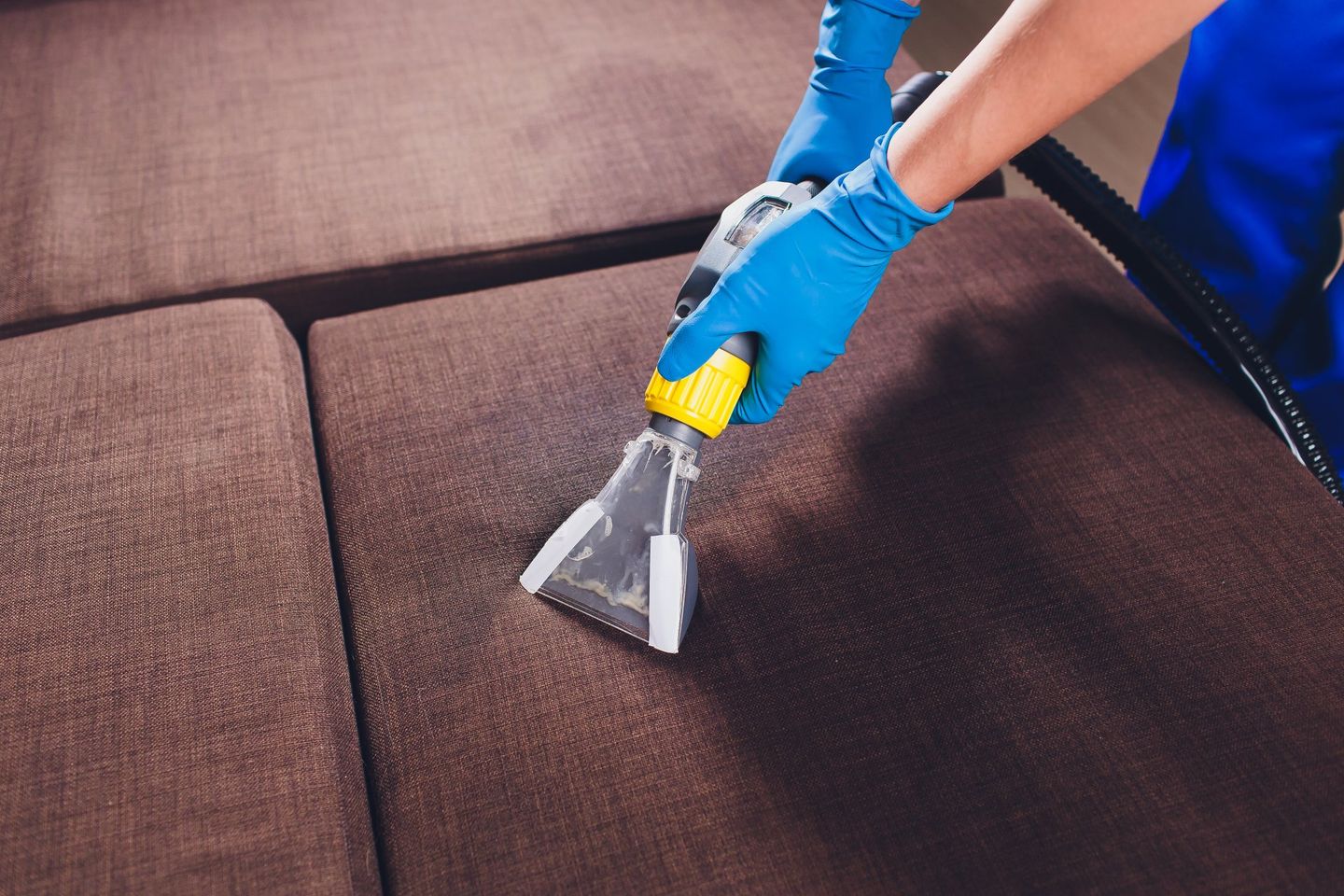 Upholstery Cleaning of Couch