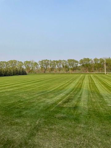 A man is laying sod on a lush green lawn.