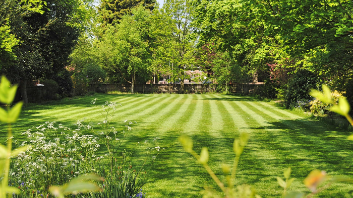 A lush green lawn with trees in the background