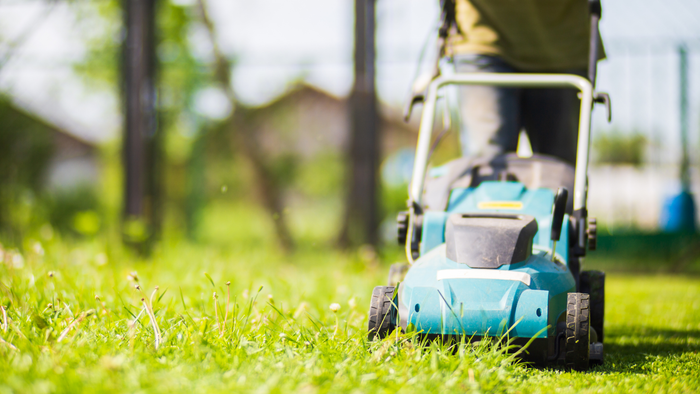 A person is mowing a lush green lawn with a lawn mower.