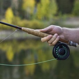 Quality fishing bait