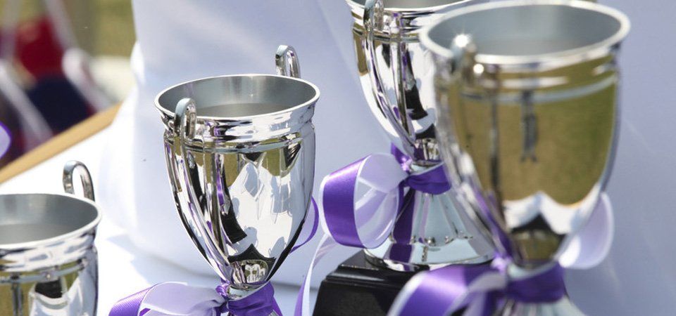 A wide selection of trophies and awards
