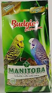 mangime per pappagalli