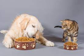 Pet food