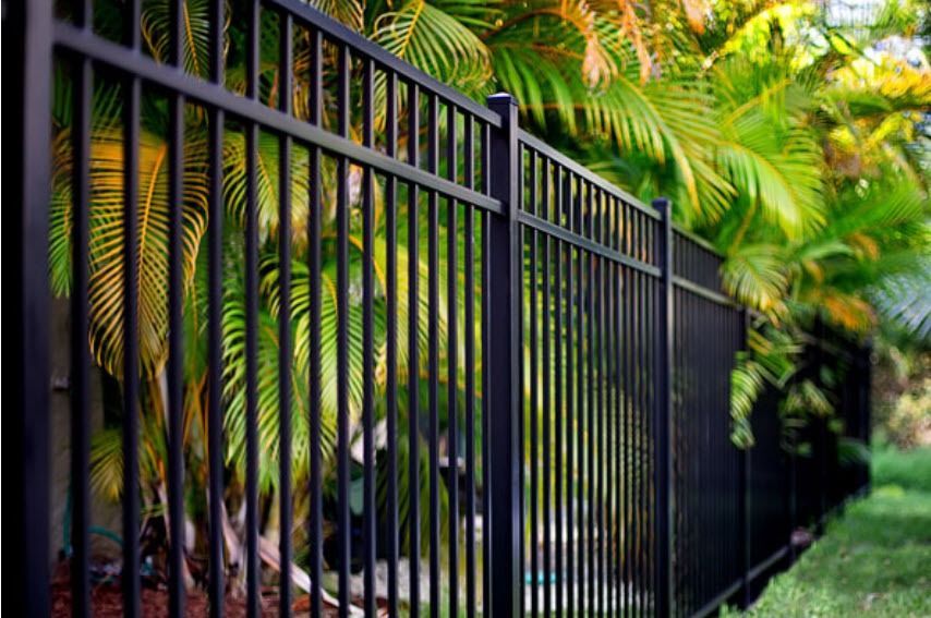 A black metal picket fence standing in front of lush green palm trees.