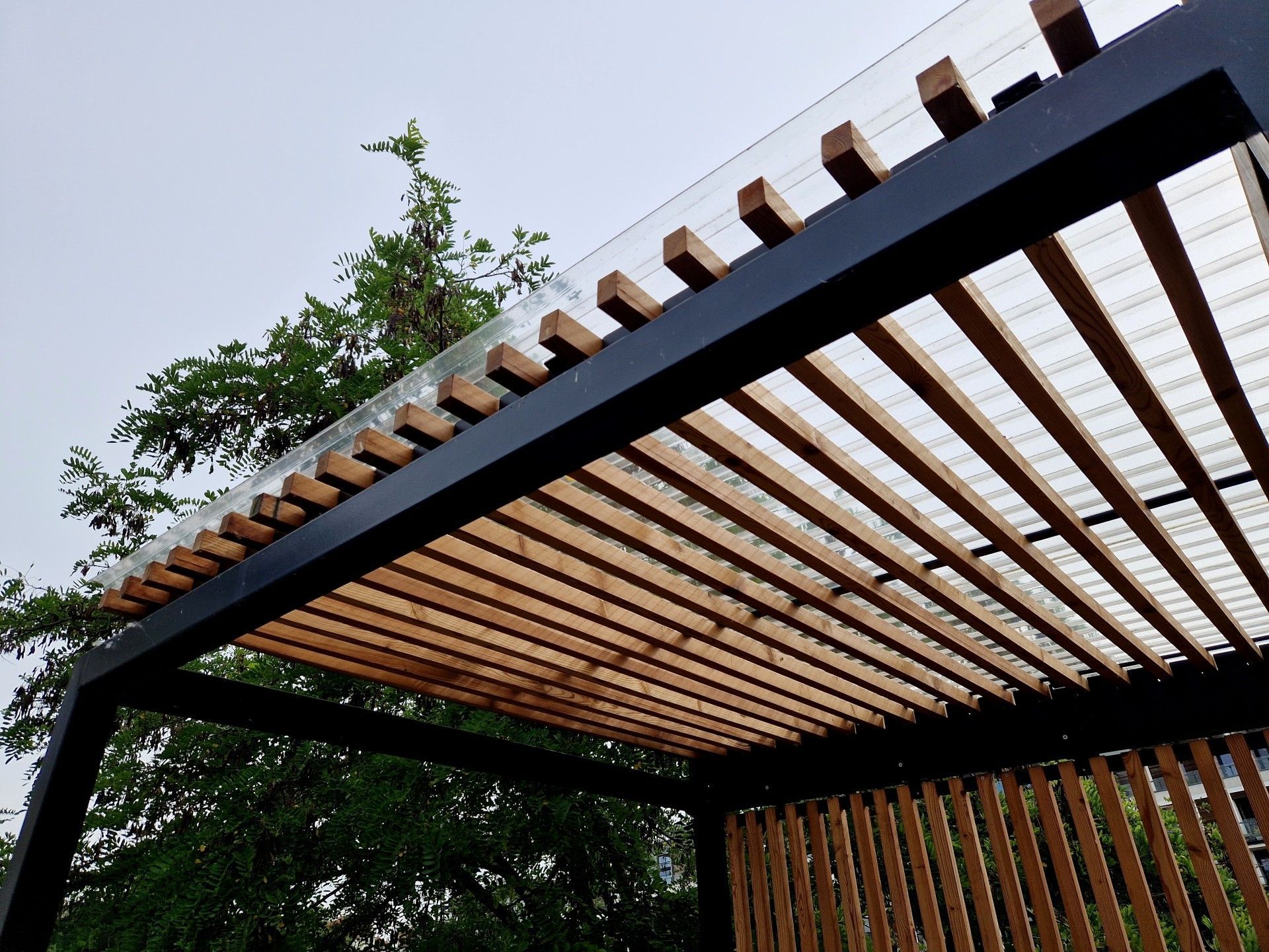 A low-angle view of a modern pergola with black metal beams and natural wood slats against a sky with a tree.