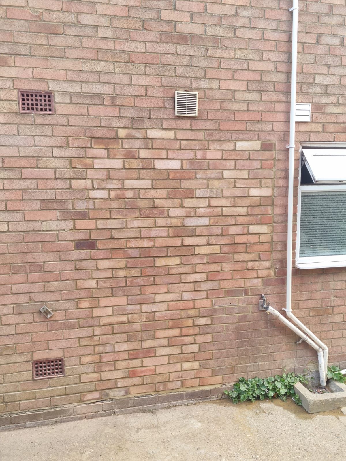 A brick wall is being built next to a level and a shovel.