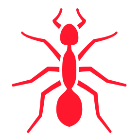Ants — Burnie, TAS — Coastal Pest Control