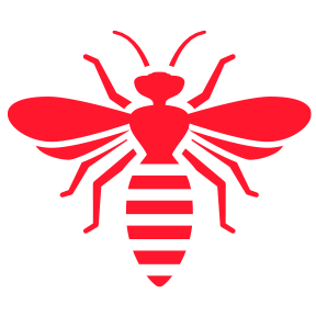 Bee’s & Wasps — Burnie, TAS — Coastal Pest Control