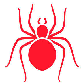 Spiders — Burnie, TAS — Coastal Pest Control