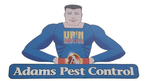Adams Pest Control Logo