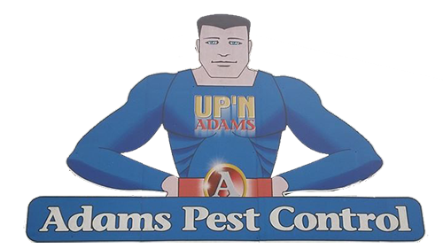 Adams Pest Control Alexandria La Home