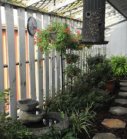 Ornamental Plant And Birds — Bristol, TN — McMillin & Christian Family Dentistry