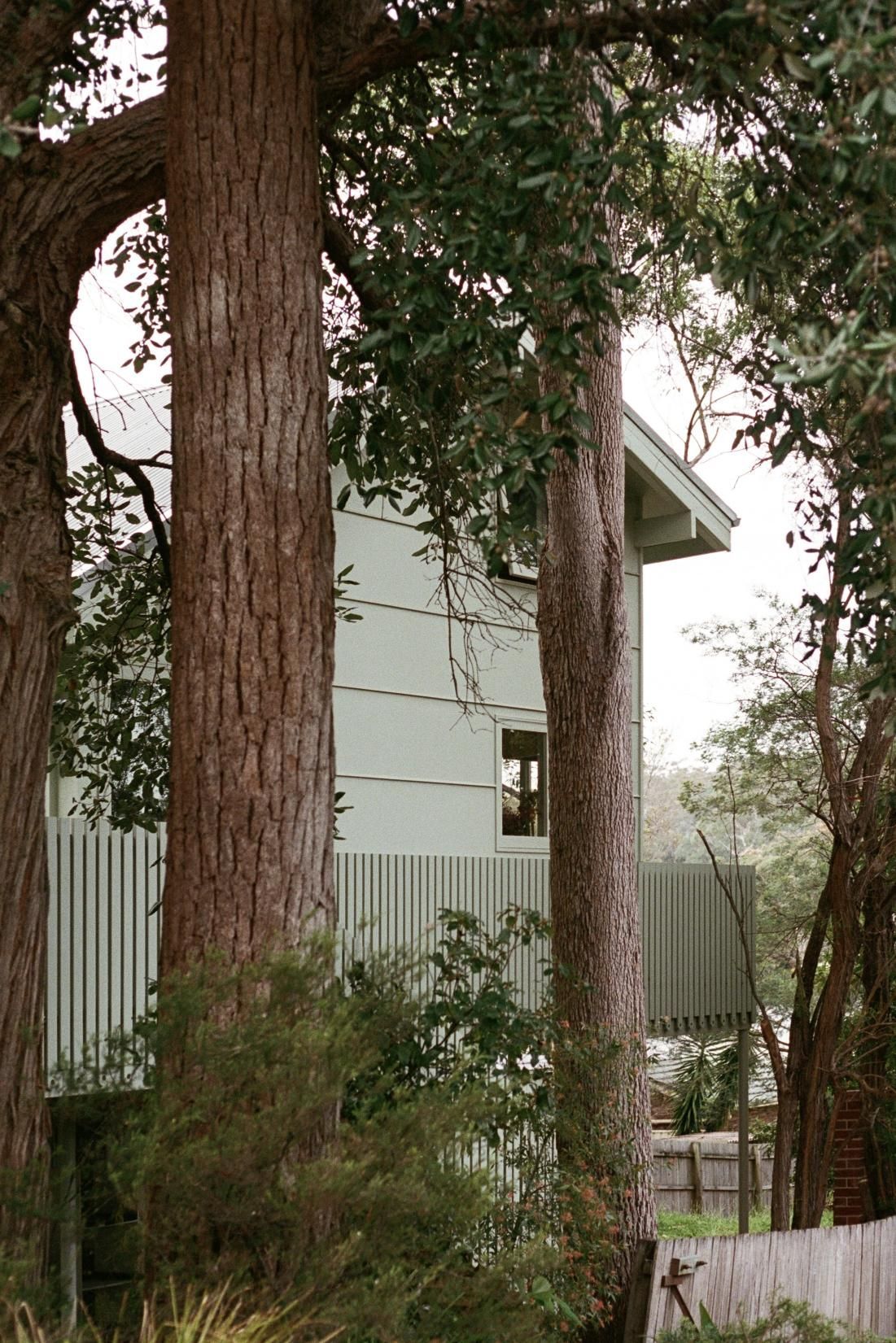 Outside of a House with a Tree — Envisage Construction and Design in Meadowbank, NSW