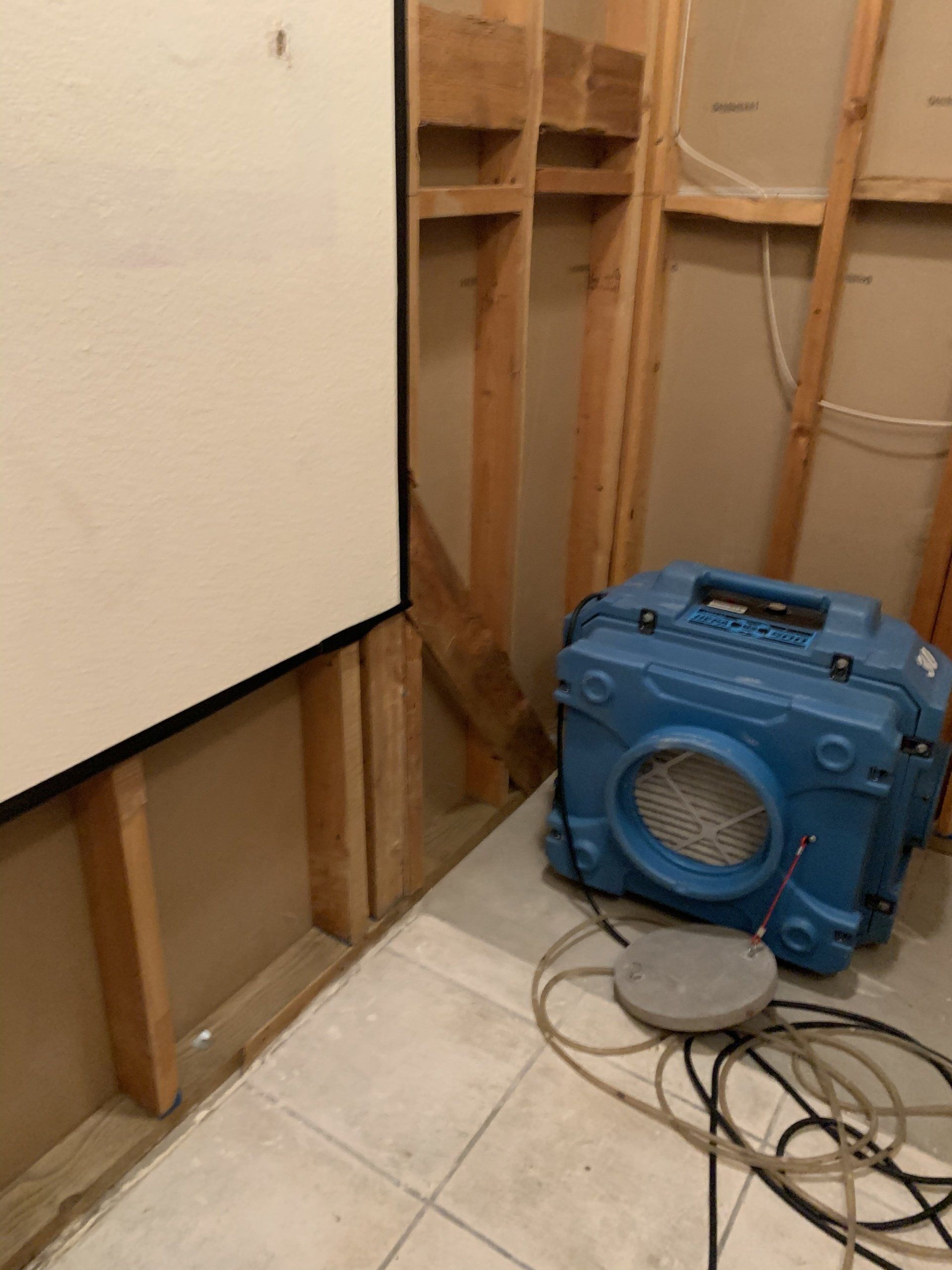 Before mold remediation highland ca