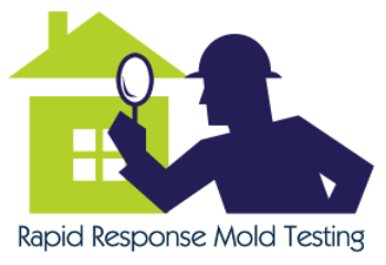 Rapid Response: Mold Testing & Inspection Services in Los Angeles CA and Houston TX