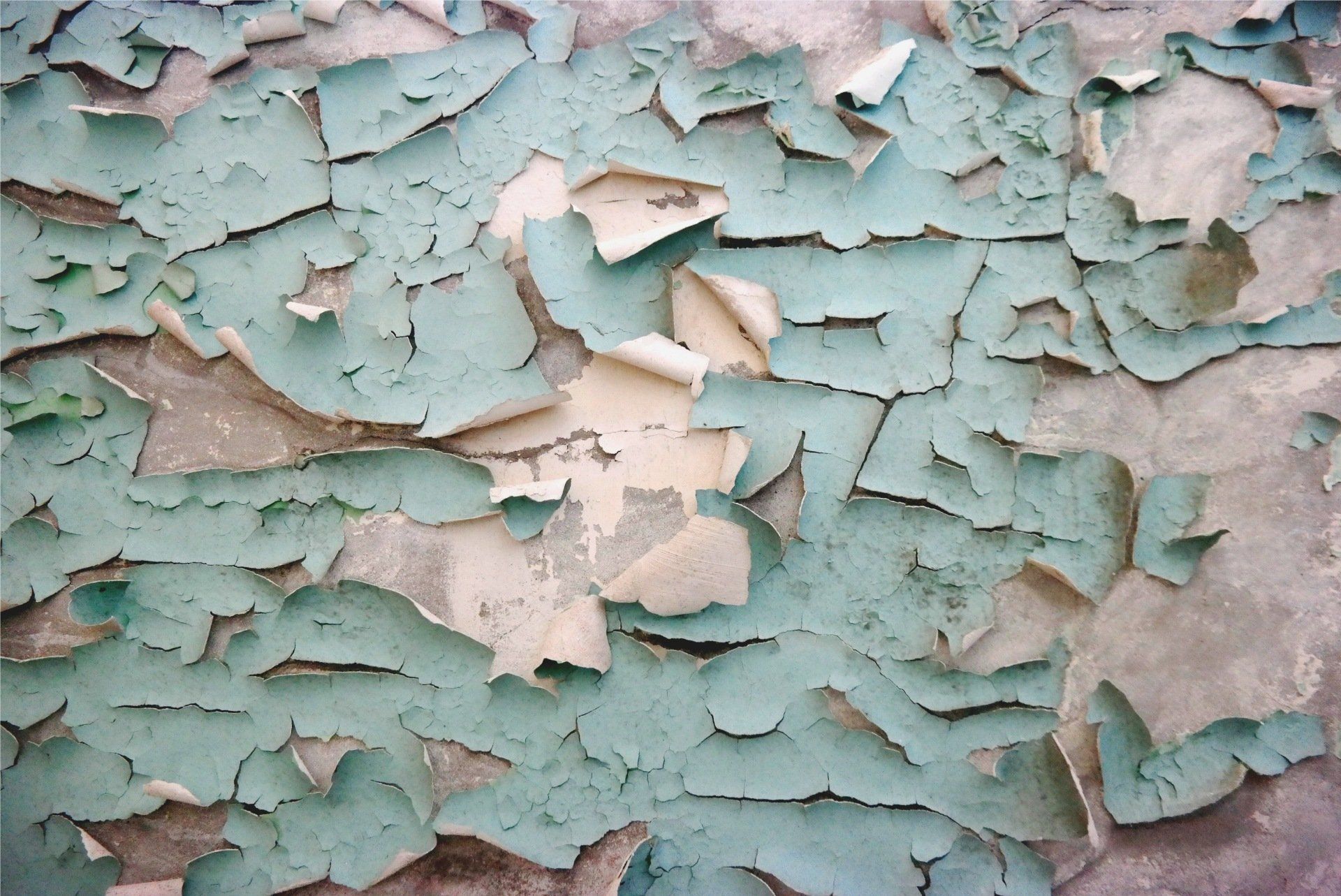 lead based paint testing