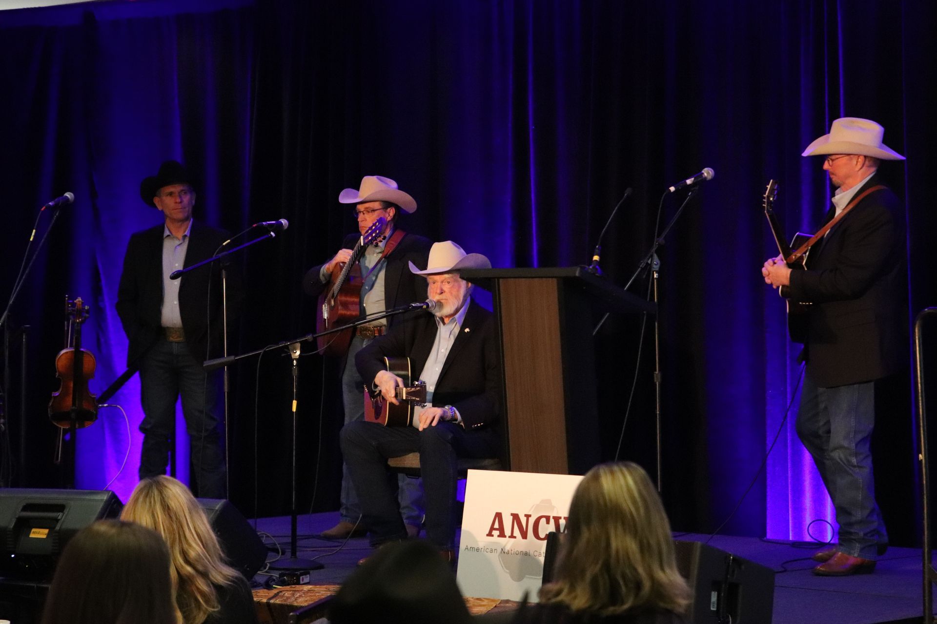 Sunset over cattle grazing; 
