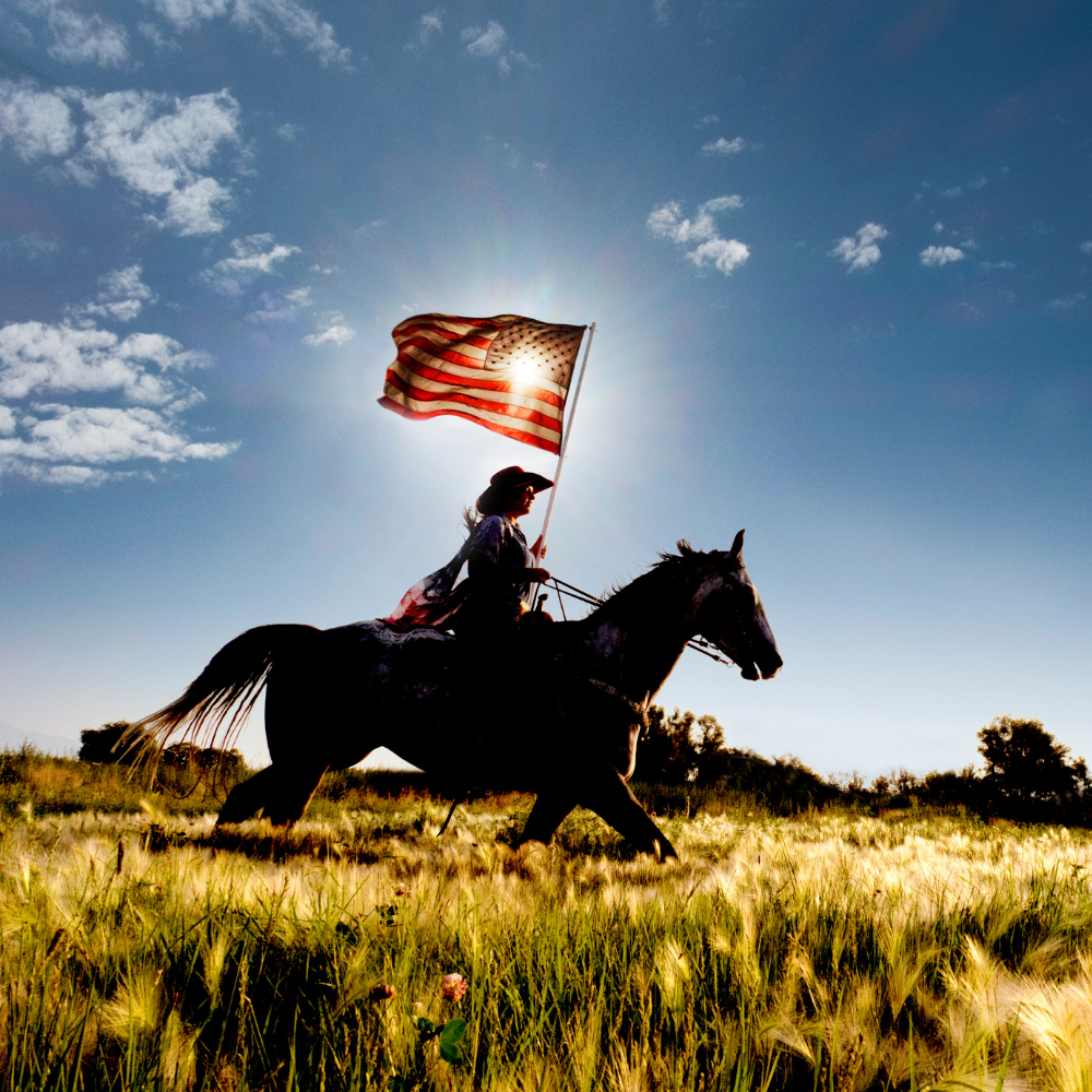 Sunset over cattle grazing;